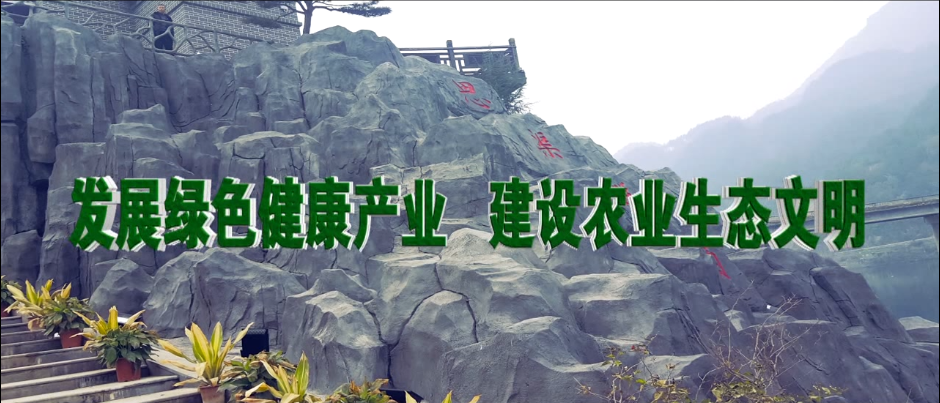 &#19975;&#35937;&#22478;&#22312;&#32447;&#30331;&#24405;&#32;&#45;&#32;&#19975;&#35937;&#22478;&#65288;&#20013;&#22269;&#65289;&#45;&#19975;&#35937;&#22478;&#65288;&#20013;&#22269;&#65289;